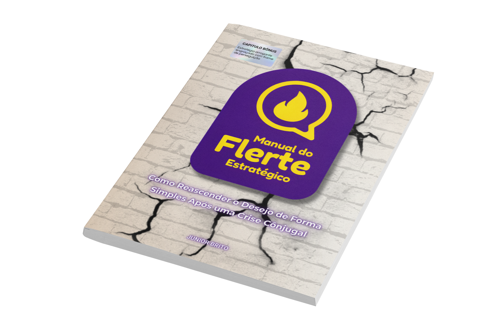 Manual do Flerte Estratégico Livro Digital